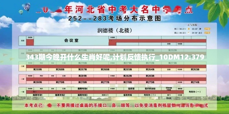 343期今晚开什么生肖好呢,计划反馈执行_10DM12.379