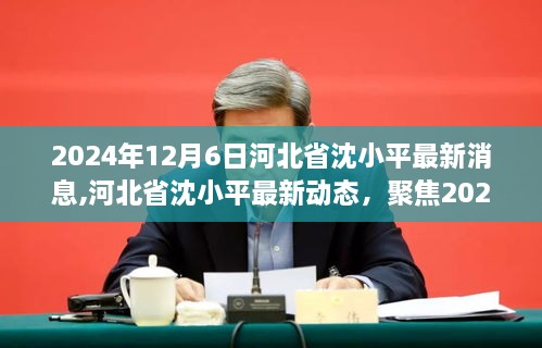 河北省沈小平最新动态，聚焦观点争议，了解最新动态与消息（2024年12月6日）