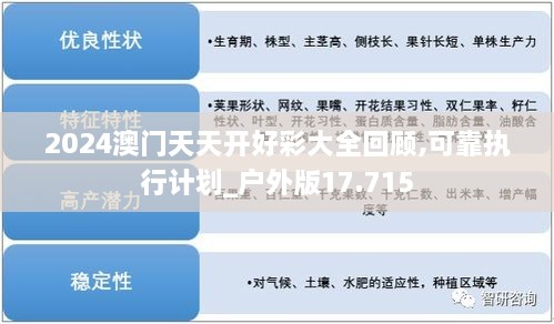 2024澳门天天开好彩大全回顾,可靠执行计划_户外版17.715