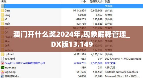 澳门开什么奖2024年,现象解释管理_DX版13.149