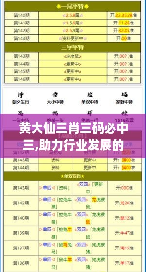 黄大仙三肖三码必中三,助力行业发展的强大资源_CT2.828