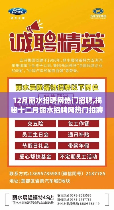 揭秘十二月丽水招聘网热门趋势，行业热点、职位亮点与求职指南