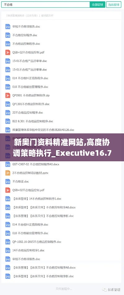 新奥门资料精准网站,高度协调策略执行_Executive16.792