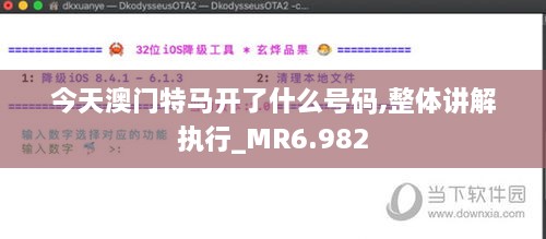 今天澳门特马开了什么号码,整体讲解执行_MR6.982
