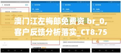 澳门江左梅郎免费资 br_0,客户反馈分析落实_CT8.750