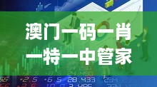 澳门一码一肖一特一中管家婆,专业解析说明_The3.506