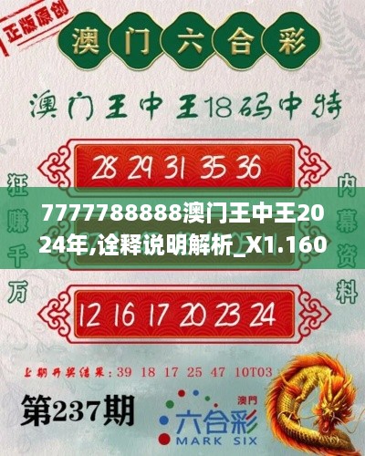 7777788888澳门王中王2024年,诠释说明解析_X1.160