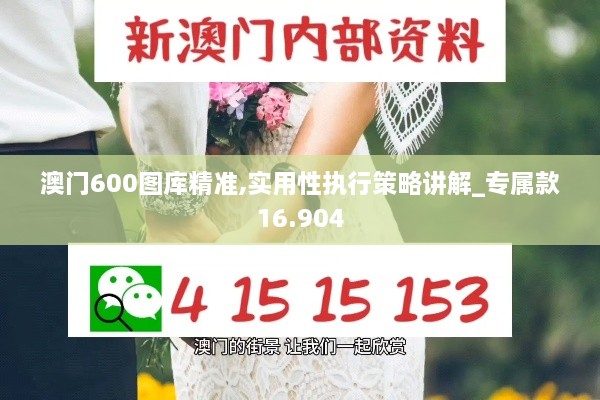 澳门600图库精准,实用性执行策略讲解_专属款16.904