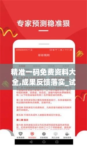 精准一码免费资料大全,成果反馈落实_试用版10.987