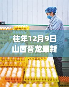 晋龙鸡蛋最新报价与探索自然美景之旅，寻找内心的宁静与平和