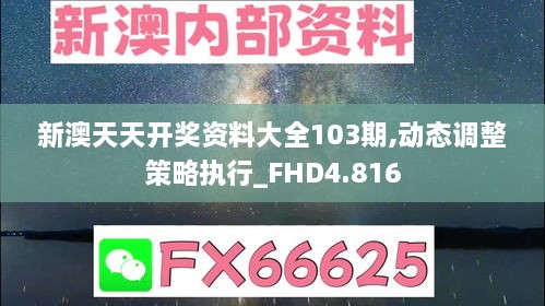 新澳天天开奖资料大全103期,动态调整策略执行_FHD4.816