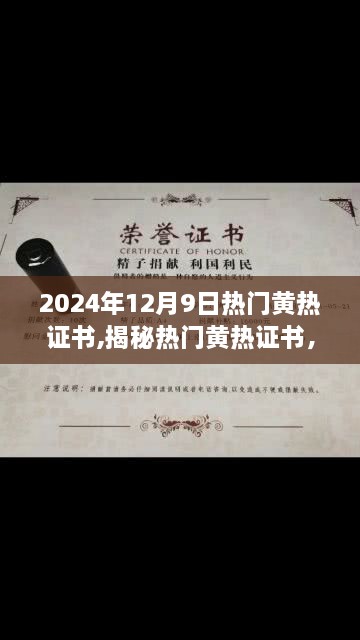 揭秘热门黄热证书，必备指南助你轻松应对，2024年12月9日特别关注！