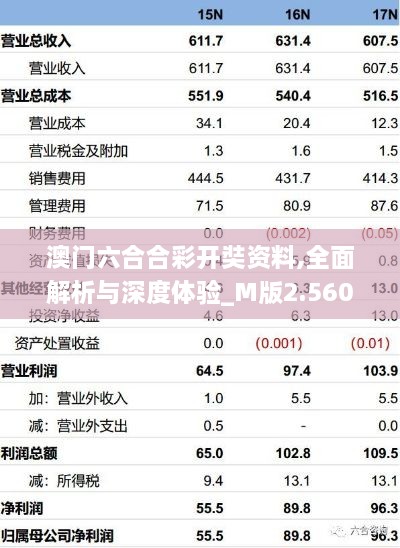 澳门六合合彩开奘资料,全面解析与深度体验_M版2.560