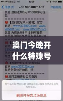 澳门今晚开什么特殊号码,预测解答解释落实_MR3.115