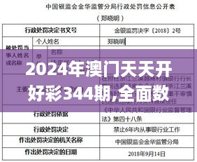 2024年澳门天天开好彩344期,全面数据执行方案_专属款9.246