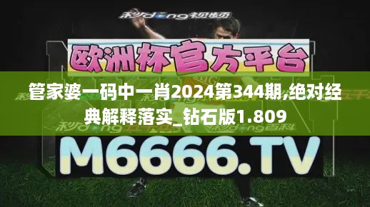 管家婆一码中一肖2024第344期,绝对经典解释落实_钻石版1.809