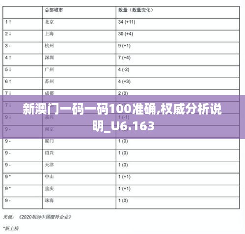 新澳门一码一码100准确,权威分析说明_U6.163