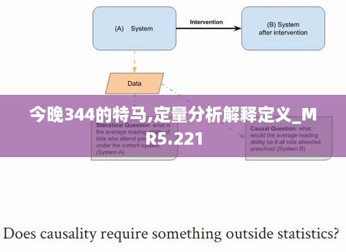 今晚344的特马,定量分析解释定义_MR5.221