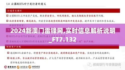 2024新澳门雷锋网,实时信息解析说明_FT7.132