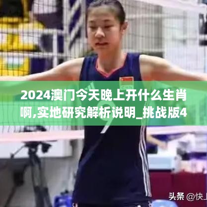 2024澳门今天晚上开什么生肖啊,实地研究解析说明_挑战版4.805