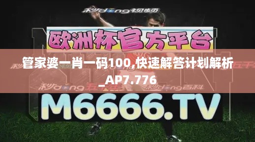 管家婆一肖一码100,快速解答计划解析_AP7.776