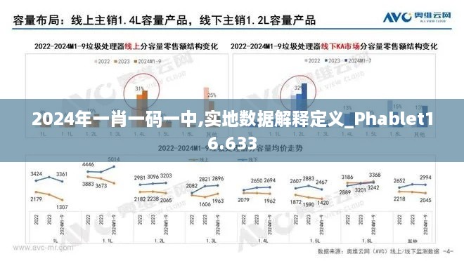 2024年一肖一码一中,实地数据解释定义_Phablet16.633