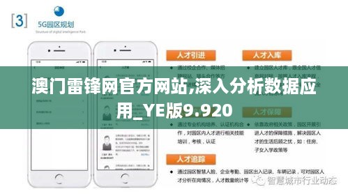 澳门雷锋网官方网站,深入分析数据应用_YE版9.920