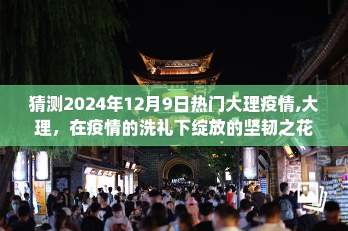 大理，疫情下坚韧之花在2024年绽放