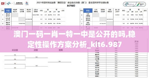 澳门一码一肖一特一中是公开的吗,稳定性操作方案分析_kit6.987