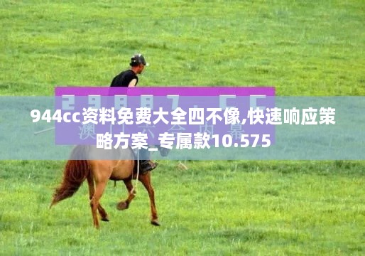 944cc资料免费大全四不像,快速响应策略方案_专属款10.575