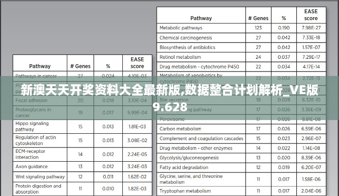 新澳天天开奖资料大全最新版,数据整合计划解析_VE版9.628