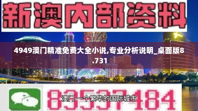 4949澳门精准免费大全小说,专业分析说明_桌面版8.731