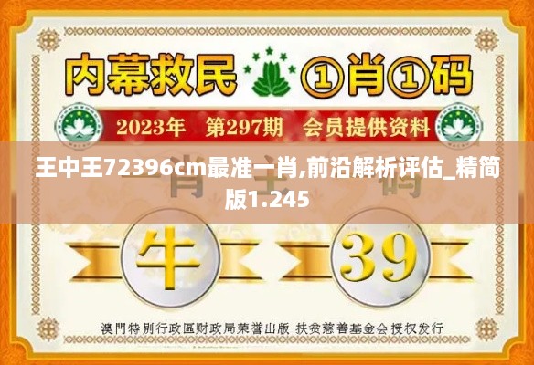 王中王72396cm最准一肖,前沿解析评估_精简版1.245