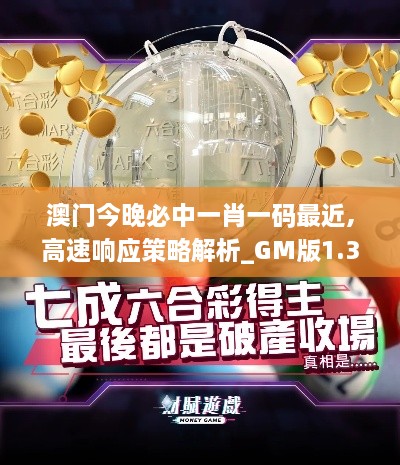 澳门今晚必中一肖一码最近,高速响应策略解析_GM版1.350