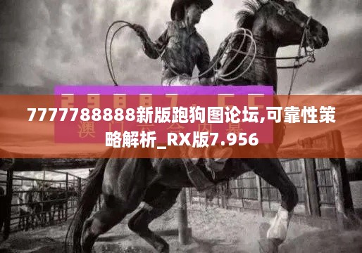 7777788888新版跑狗图论坛,可靠性策略解析_RX版7.956