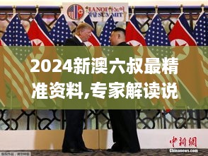 2024新澳六叔最精准资料,专家解读说明_Z10.503