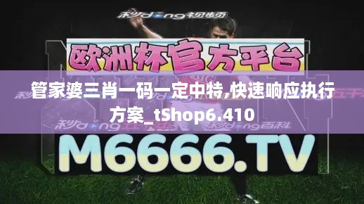 管家婆三肖一码一定中特,快速响应执行方案_tShop6.410