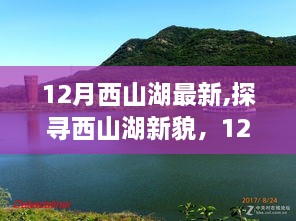 2024年12月10日 第59页