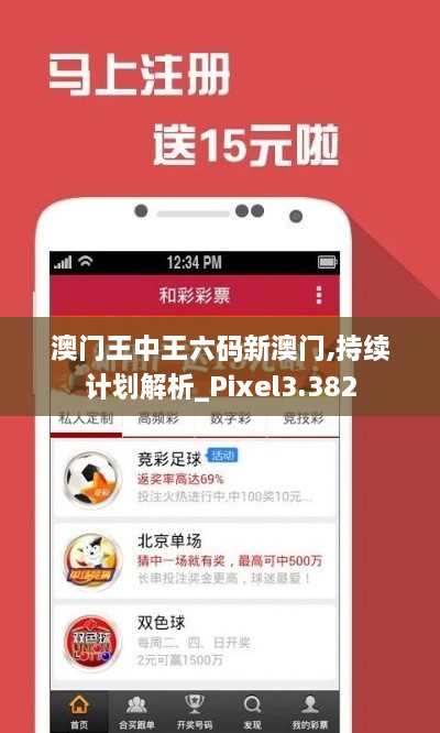 澳门王中王六码新澳门,持续计划解析_Pixel3.382