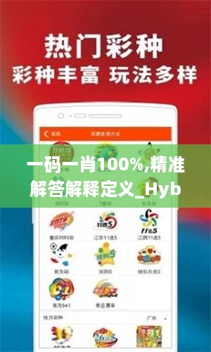 一码一肖100%,精准解答解释定义_Hybrid3.445