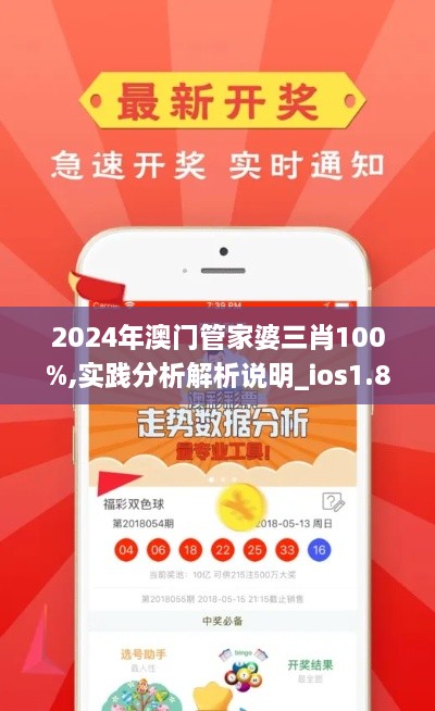 2024年澳门管家婆三肖100%,实践分析解析说明_ios1.825