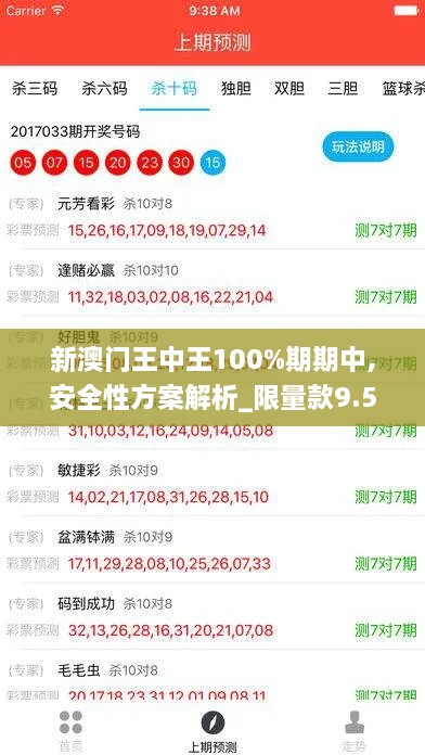 新澳门王中王100%期期中,安全性方案解析_限量款9.597