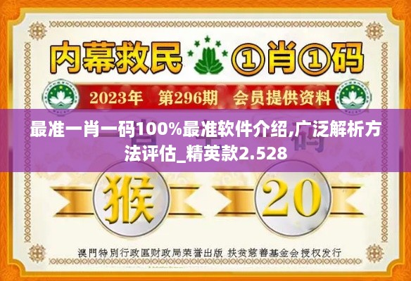 最准一肖一码100%最准软件介绍,广泛解析方法评估_精英款2.528