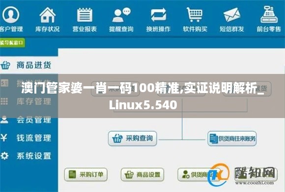 澳门管家婆一肖一码100精准,实证说明解析_Linux5.540