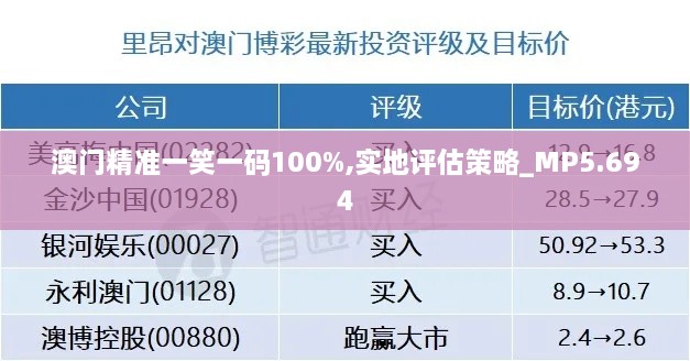 澳门精准一笑一码100%,实地评估策略_MP5.694