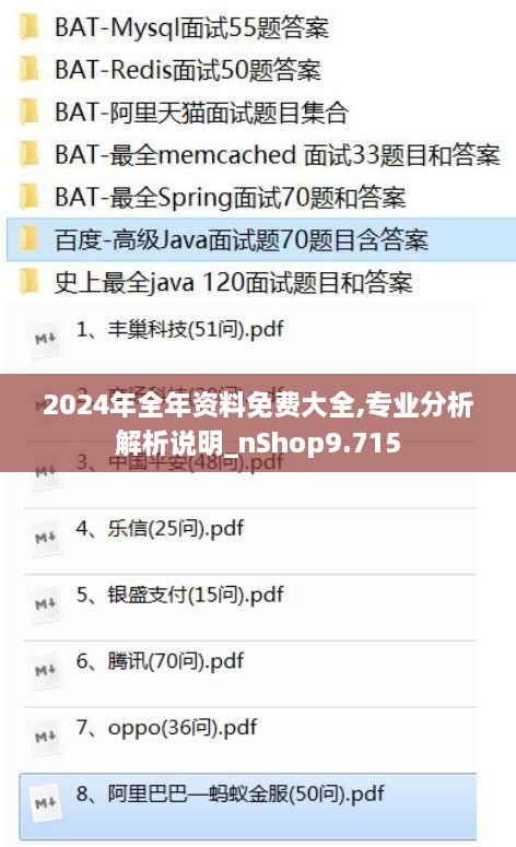 2024年全年资料免费大全,专业分析解析说明_nShop9.715