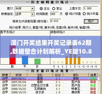 澳门开奖结果开奖记录表62期,数据整合计划解析_YE版10.816