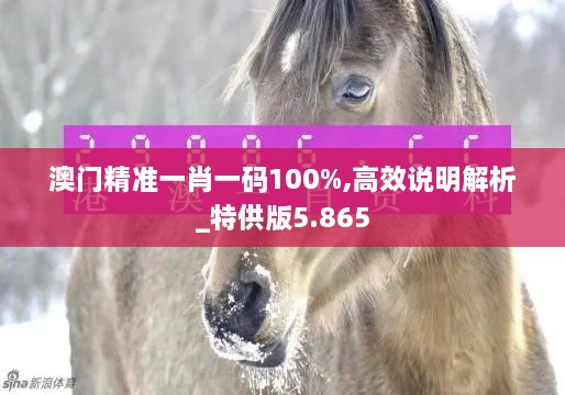 澳门精准一肖一码100%,高效说明解析_特供版5.865