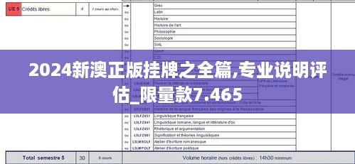 2024新澳正版挂牌之全篇,专业说明评估_限量款7.465