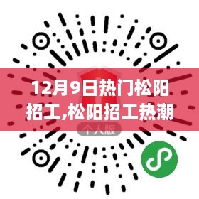 松阳招工热潮来袭，12月9日热门职位火热抢先看！